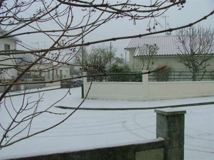 下雪了！