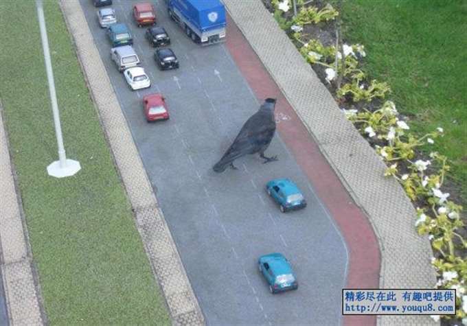 过马路