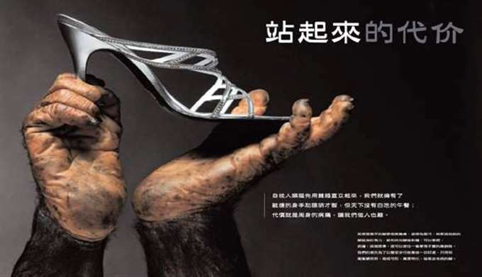 站起来的代价