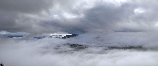 Mist-panorama.jpg